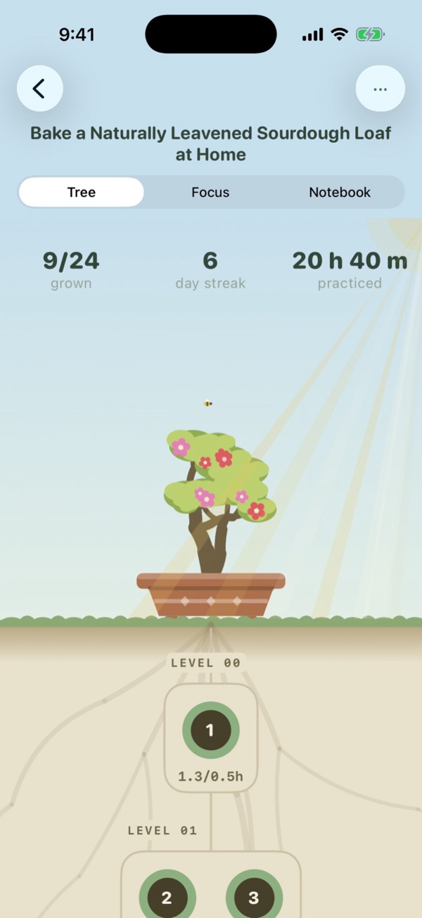 A tree for sourdough bread, with its steps by level.
